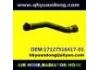 Radiator Hose:17127516417-01