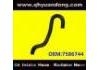 Radiator Hose:7586744