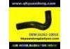 Durite de radiateur Radiator Hose:16262-10010