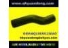 Durite de radiateur Radiator Hose:BQ130301230AO