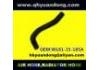 Radiator Hose:WL81-15-185A