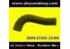 Radiator Hose:21502-22J00