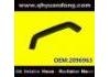 Radiator Hose:2096963