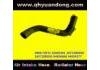 Radiator Hose:72071 16040381 165720D020