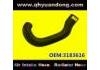 Radiator Hose:3183616