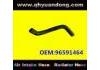 Radiator Hose:96591464