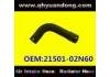 Radiator Hose:21501-02N60