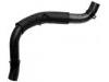 Radiator Hose:MR204553