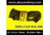 Ansaugschlauch, Luftfilter Intake Pipe:17228-RLG-A00