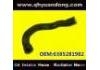 Manguera de radiador Radiator Hose:6385281982